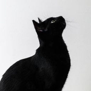 Meet your Posher, Aderemi